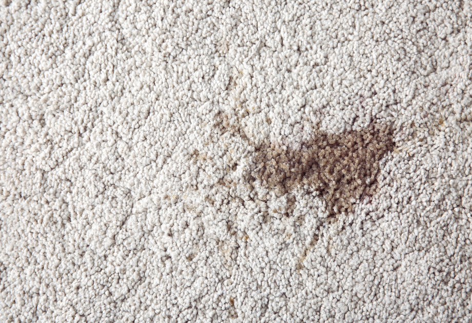 white carpet with a grease stain